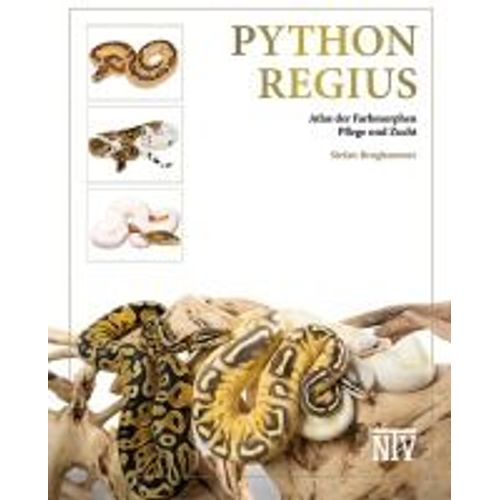 Python Regius