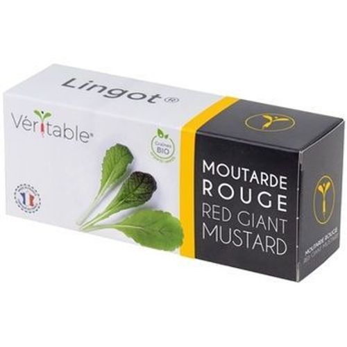 Lingot Moutarde Rouge Bio Pour Potager Véritable