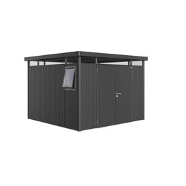 Element De Fenêtre Pour Abri De Jardin Biohort Gris Foncé