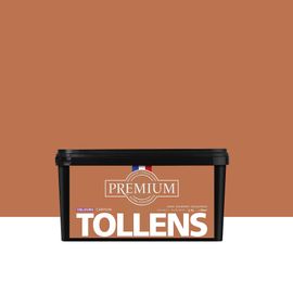 Peinture Tollens premium murs, boiseries et radiateurs marron canyon velours 2,5L