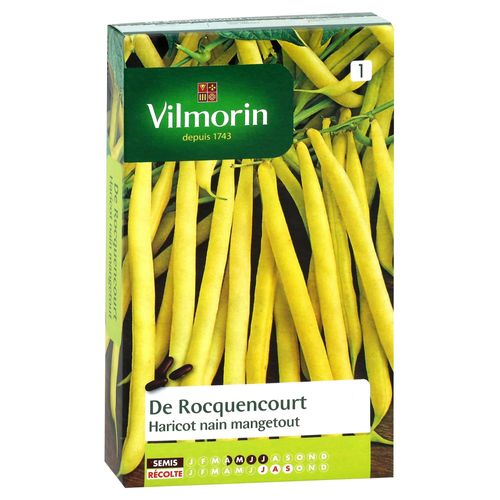 Graines De Haricot Nain Variété "De Rocquencourt" Vilmorin Semis D'avril À Juillet