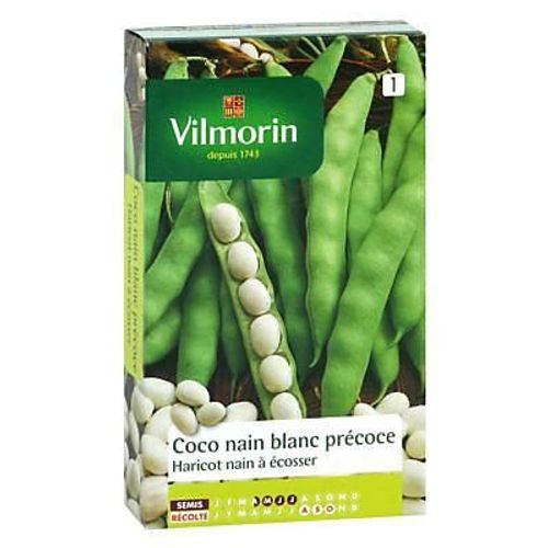 Graines De Haricot Nain Variété "Coco Nain Blanc Précoce" Vilmorin Semis D'avril À Juillet