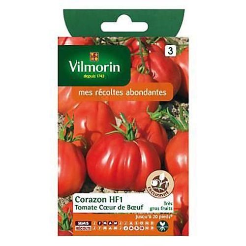 Graines De Tomate Variété "C?ur De B?uf Corazon Hf1" Vilmorin Semis De Février À Mai