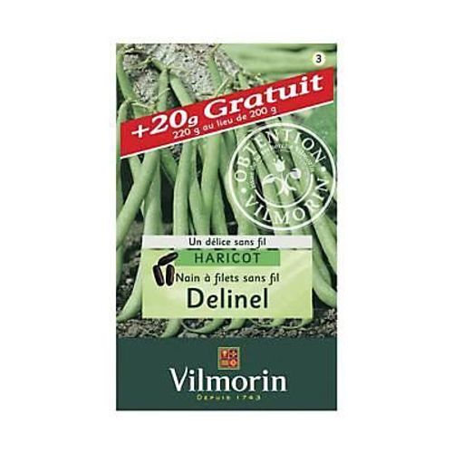Graines De Haricot Nain Variété "Delinel" Vilmorin Semis D'avril À Juillet