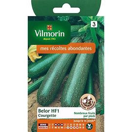 Graines De Courgette Variété "Belor Hf1" Vilmorin Semis De Mars À Mai