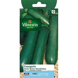 Graines De Courgette Variété "Verte Noire Maraîchère" Vilmorin Semis De Mars À Mai
