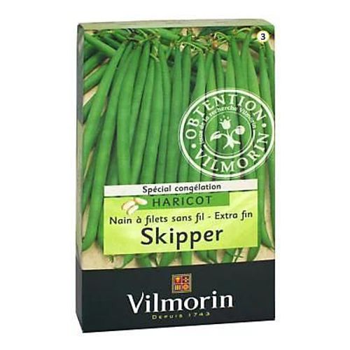 Graines De Haricot Nain Variété "Skipper" Vilmorin Semis D'avril À Juillet