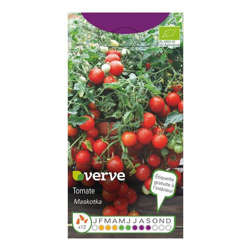 Graines De Tomate Bio Variété "Maskotka" Verve Semis De Février À Avril