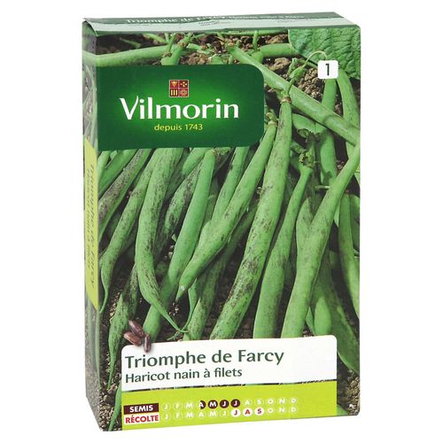 Graines De Haricot Nain Variété "Triomphe De Farcy" Vilmorin Semis D'avril À Juillet
