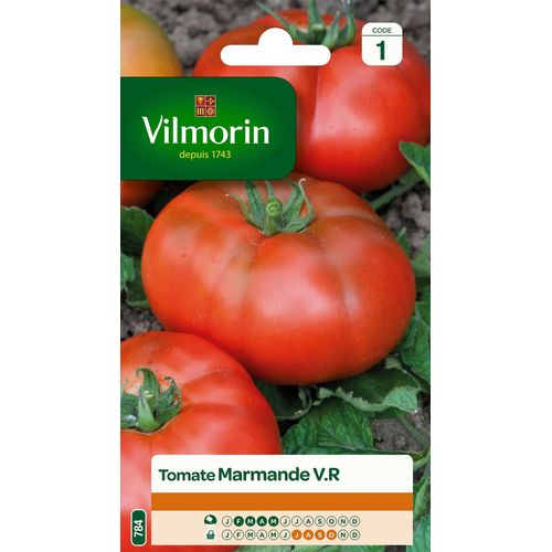 Graines De Tomate Variété "Marmande" Vilmorin Semis De Février À Mai
