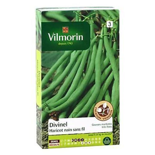 Graines De Haricot Nain Variété "Divinel" Vilmorin Semis D'avril À Juillet