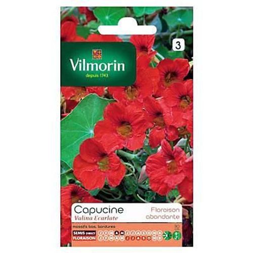 Graines De Capucine Valina Ecarlate Vilmorin
