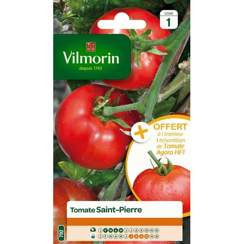 Graines De Tomate Variété "Saint-Pierre" Vilmorin Semis De Février À Mai