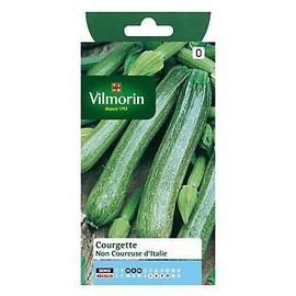 Graines De Courgette Variété "Non Coureuse D'italie" Vilmorin Semis De Mars À Mai