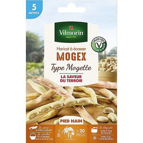 Graines De Haricot Nain Variété "Mogex" Vilmorin Semis D'avril À Juillet