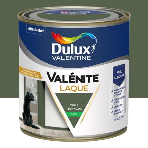 Laque acrylique Valénite Dulux Valentine vert tropical satin 500ml