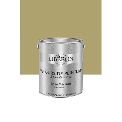 Peinture multisupport murs, plafonds et boiseries Velours de peinture vert reine-claude Libéron 2,5L