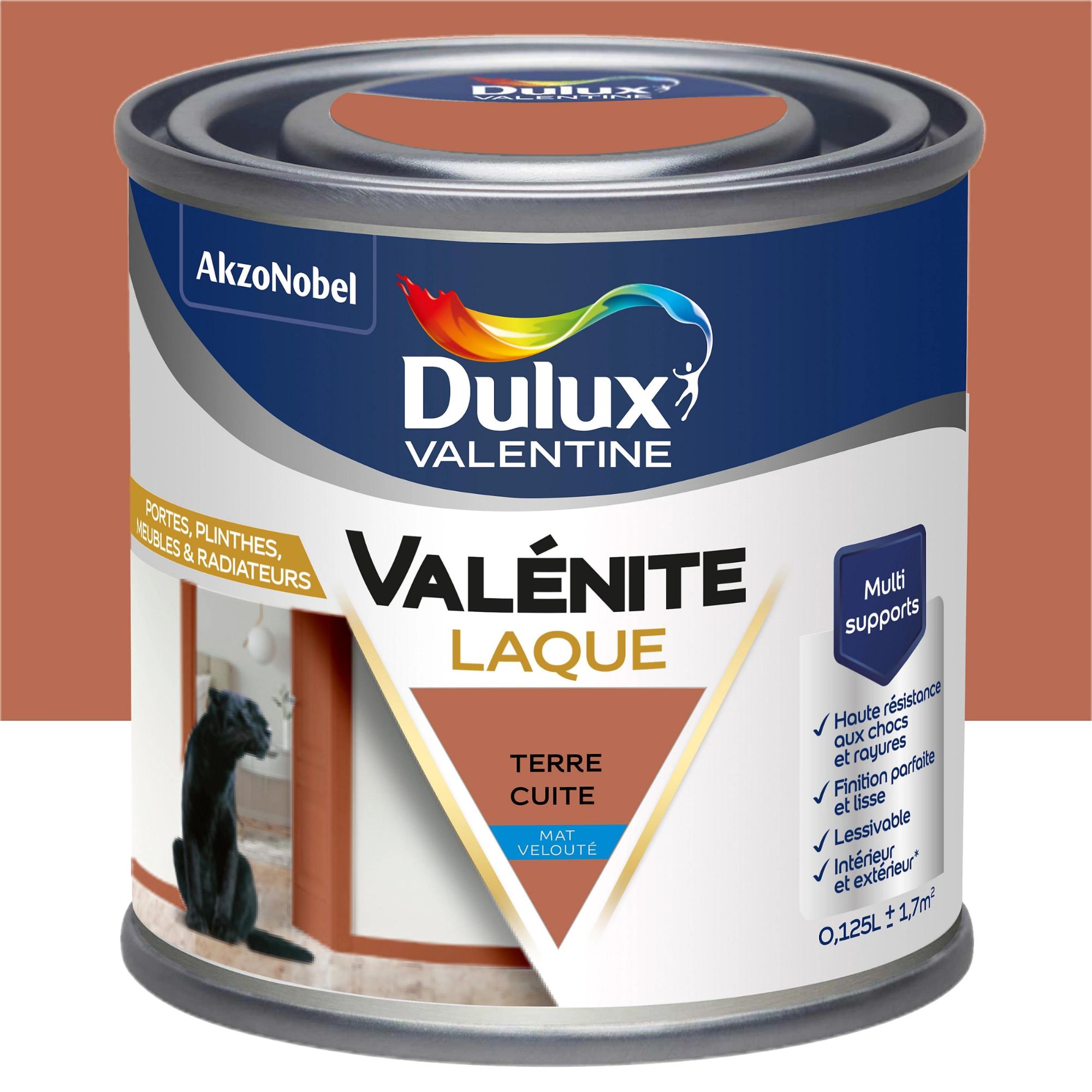 Laque acrylique Valénite Dulux Valentine terre cuite mat velouté 0,125L