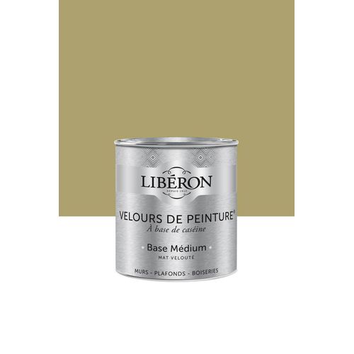 Peinture multisupport murs, plafonds et boiseries Velours de peinture vert reine-claude Libéron 0,5L