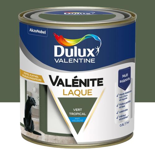 Laque acrylique Valénite Dulux Valentine velouté vert tropical mat 500ml