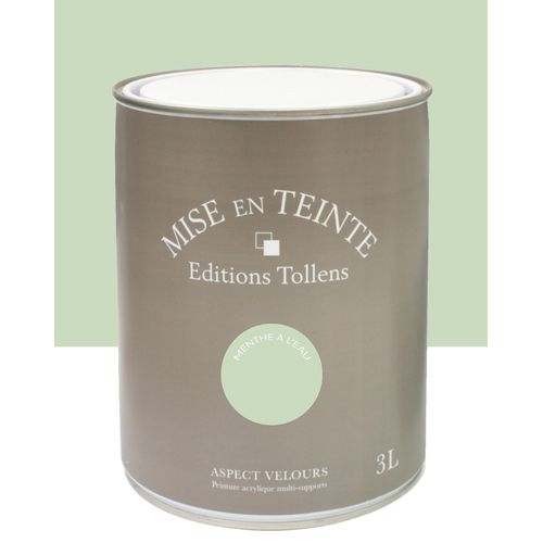 Peinture Tollens Mise en teinte murs, meubles et boiseries vert menthe à l'eau 3L
