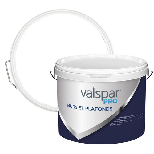 Peinture murs et plafonds Valspar Pro Velours base C 10L