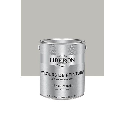 Peinture multisupport murs, plafonds et boiseries Velours de peinture gris pleurotte Libéron 2,5L