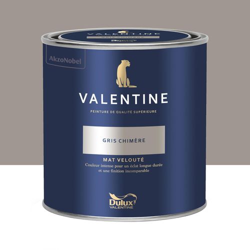 Peinture intérieure couleur mur et plafond Valentine mat velouté gris chimère 0,5L
