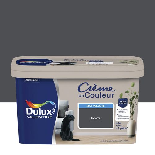 Peinture couleur murs, boiseries et radiateurs Crème de couleur Dulux Valentine noir poivre mat 2,5L