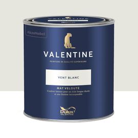 Peinture intérieure couleur mur et plafond Valentine mat velouté vent blanc 0,5L