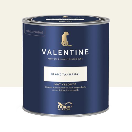 Peinture Valentine murs et boiseries Dulux Valentine blanc taj mahal velouté mat 0,5L