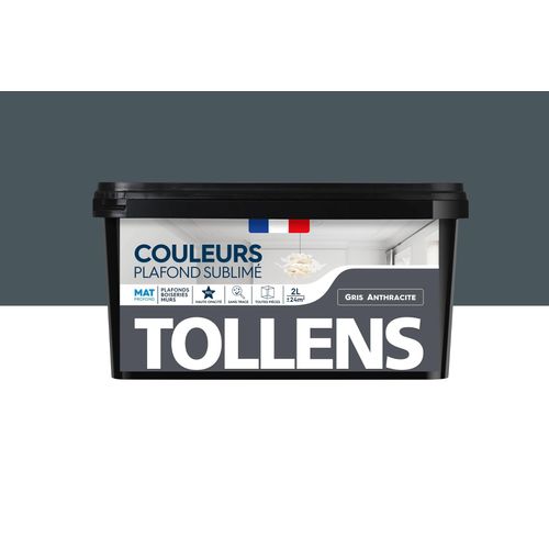 Peinture Plafond Sublimé Tollens mat gris anthracite 2L