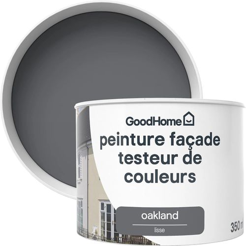 Testeur Peinture extérieure façade Oakland GoodHome gris anthracite mat 350ml