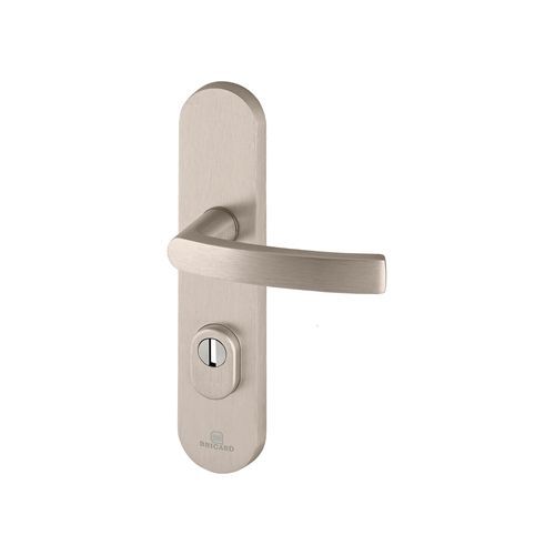Ensemble poignée de porte blindée sur plaque standard eSSENTIAL Bricard entraxe 195mm brossé gris