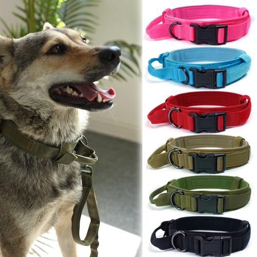 Collier tactique militaire pour chien avec poignée de contrôle pour berger  allemand : : Animalerie