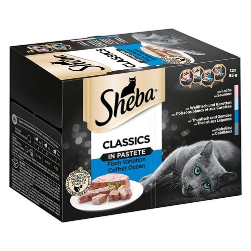 24x85g Terrines Classiques Barquettes Sheba - Nourriture Pour Chat