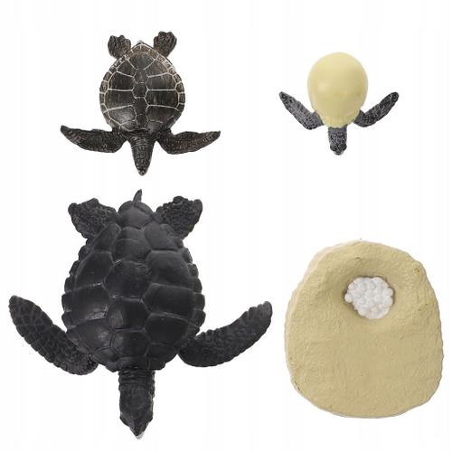 Tortue Life Cycle Tortue Figurine Life Cycle Figurine