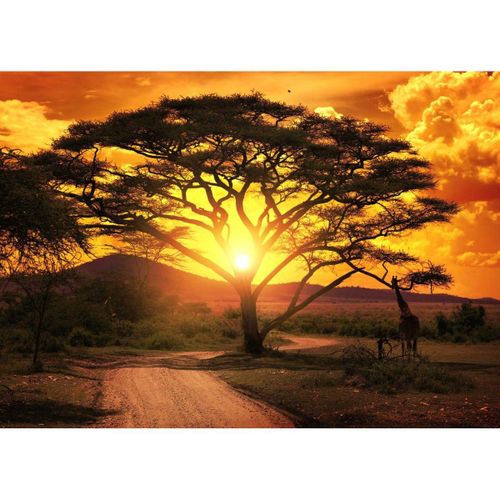 Tableau sur toile savane au coucher du soleil 30x45 cm