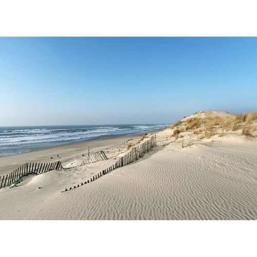 Tableau sur toile dune littoral 30x45 cm