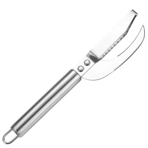 Mèche - Couteau À Écailles De Poisson Grattoir Détartreur En Acier Inoxydable, Outils De Nettoyage De La Peau De Poisson Brosse Pince À Poisson Pincettes Outils De Cuisine