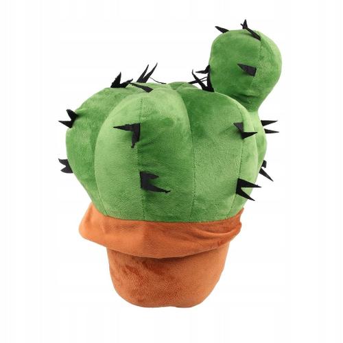 Coussin En Peluche Oreiller Accessoires Photo Cactus