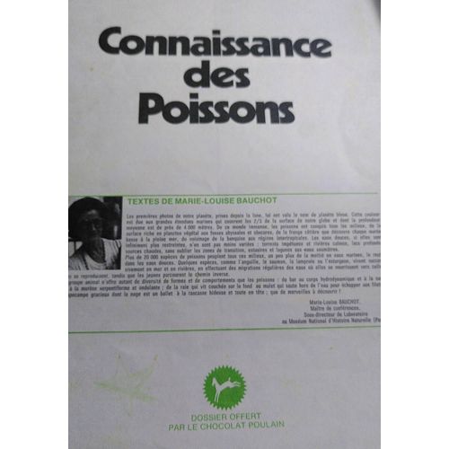 Les Dossiers Du Chocolat Poulain - Connaissance Des Poissons Par Marie-Louise Bauchot - Collecteur Collector Album D'images 24 À Coller - Illustration De Gérard Boutet 