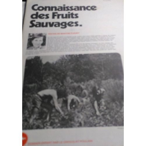 Les Dossiers Du Chocolat Poulain - Connaissance Des Fruits Sauvages Par Maryse Fleury - Collecteur Collector Album D'images 24 À Collectionner Vintage Souvenirs - Illustration De Gérard Boutet 
