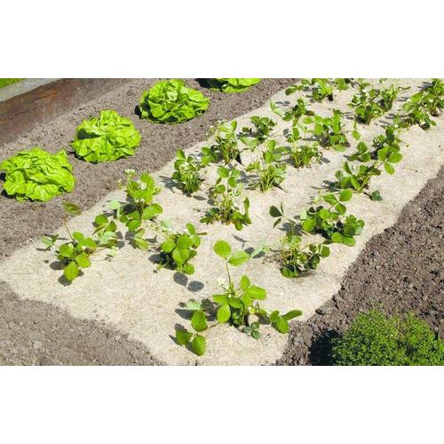 Paillage Naturel 135 X 300 Cm - Pour Jardin Et Potager 100% Biodégradable - 750 G/M2