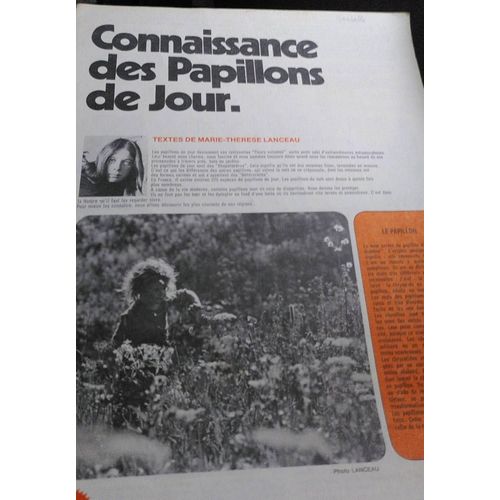 Les Dossiers Du Chocolat Poulain - Connaissance Des Papillons De Jour Par Marie-Thérèse Lanceau - Collecteur Collector Album D'images 24 Images À Collectionner - Illustration De Gérard Boutet 
