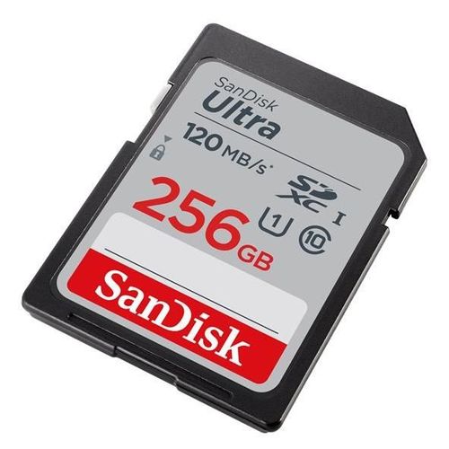 SanDisk Ultra - Carte mémoire flash - 256 Go - UHS-I U1 / Class10 - SDXC UHS-I