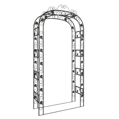 Vidaxl Arche De Jardin Noir 116x45x240 Cm Acier
