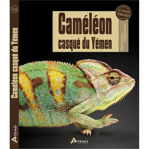 Caméléon Casqué Du Yémen