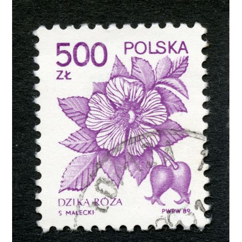 Timbre Oblitéré Polska, Dzika Roza , 1989, 500 Zl, Malecki