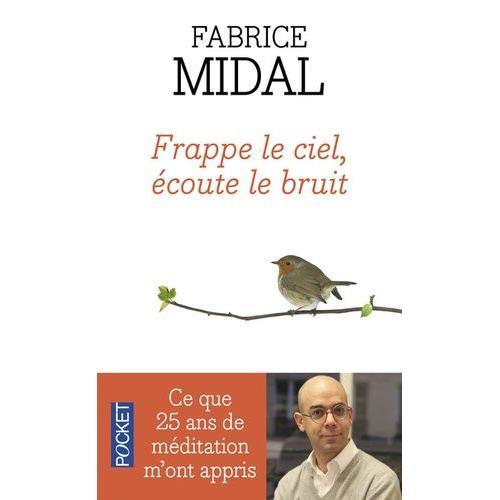 Frappe Le Ciel, Écoute Le Bruit - Ce Que Vingt-Cinq Ans De Méditation M'ont Appris